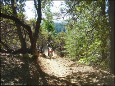 Honda CRF Motorbike at Interface Recreation Trails