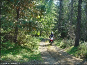 Girl riding a Honda CRF Motorcycle at Lubbs Trail