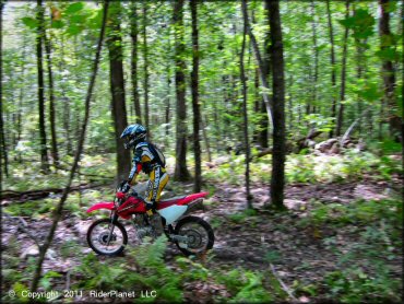 Honda CRF Motorcycle at Franklin Trails