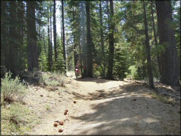 Honda CRF Motorcycle floating the front at Twin Peaks And Sand Pit Trail