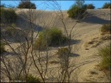 A trail at Copper Basin Dunes OHV Area
