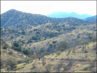 Honda CRF Dirtbike at Santa Rita OHV Routes Trail