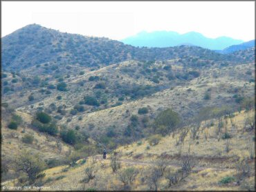 Honda CRF Motorcycle at Santa Rita OHV Routes Trail