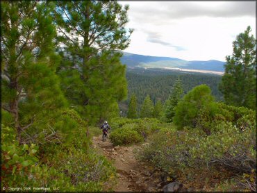 Honda CRF Motorcycle at Prosser Hill OHV Area Trail