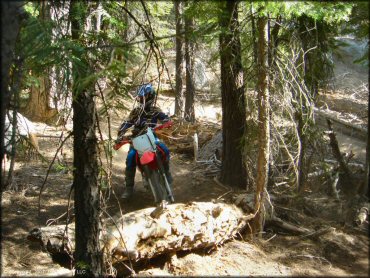 Honda CRF Trail Bike at Corral OHV Trail