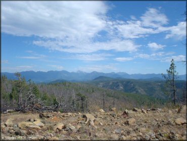 View of forest and mountains from the trail.