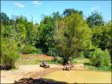 Cooper Creek ATV Area Trail