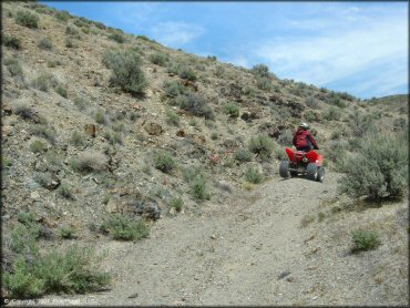 OHV at Blue Mountain Trail