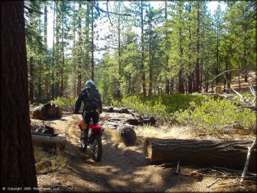 Honda CRF Motorcycle at Genoa Peak Trail