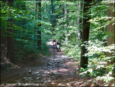 Kawasaki KX Dirt Bike at Pisgah State Park Trail