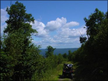 Sideling Hill Trail