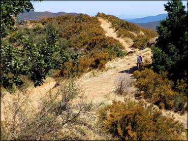 Pozo La Panza OHV Area Trail