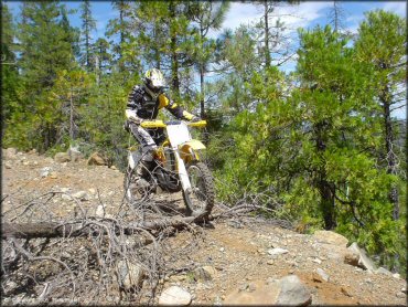 Suzuki RM250 two-stroke going over downed tree that is blocking the trail.