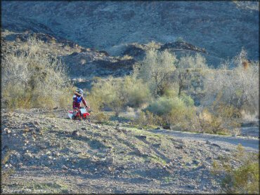 Honda CRF Motorcycle at Shea Pit and Osborne Wash Area Trail