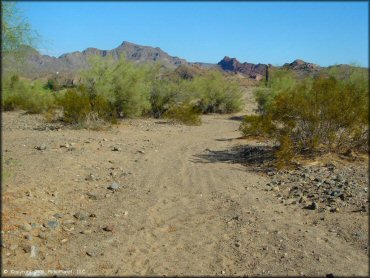 Some terrain at Copper Basin Dunes OHV Area