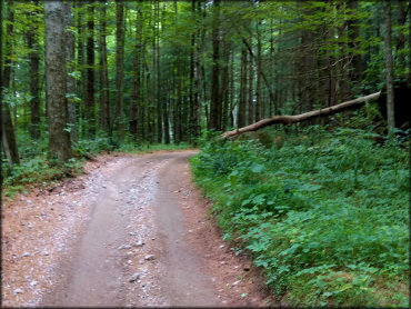 Monday Creek ORV Area Trail