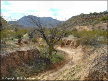 A trail at Grinding Stone MX Track