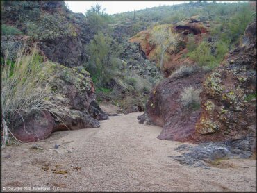 A trail at Black Hills Box Canyon Trail