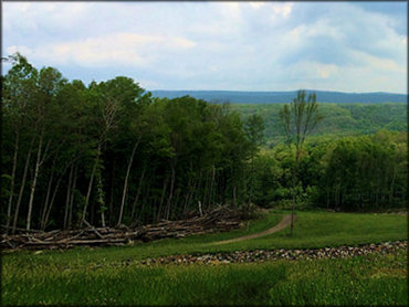 A scenic portion of the ATV trail with meadow and trees.