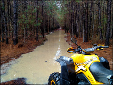 Can-Am Renegade ATV parked near deep mud puddle.