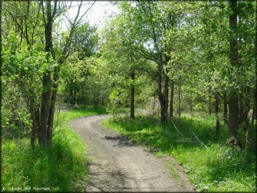 A trail at Lone Star MX OHV Area