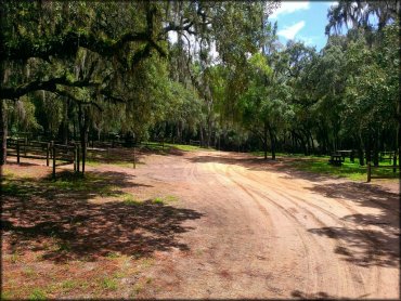 Croom Motorcycle Area Trail