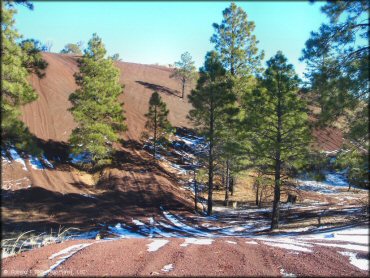 A scenic view of hill climb with pine trees.