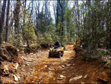 Oakey Mountain OHV Trails