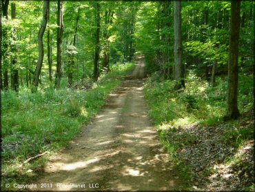Some terrain at Tall Pines ATV Park Trail