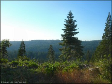 Scenic view of Black Springs OHV Network Trail