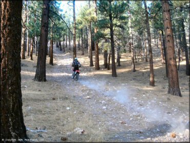 Honda CRF Motorcycle at Hunter Lake Trail