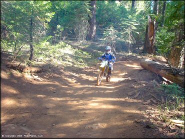 Rider with Acerbis motocross gear and Alpinestars motorcycle boots on Suzuki RM100 going through the woods.