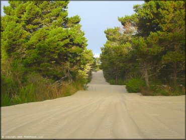 A trail at Oregon Dunes NRA - Florence Dune Area
