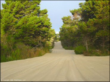 Some terrain at Oregon Dunes NRA - Florence Dune Area