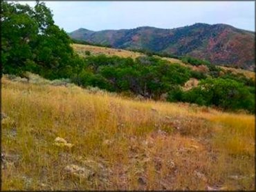 Scenic view of Diamond Fork Trail