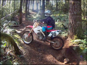 OHV at Shotgun OHV Area Trail