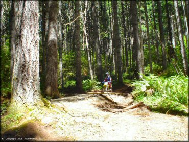 Woman riding a OHV at Upper Nestucca Motorcycle Trail System