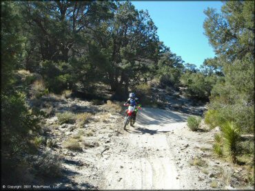 Honda CRF150 going down sandy 4x4 trail .