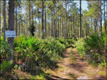 Florida Cracker Ranch Trail