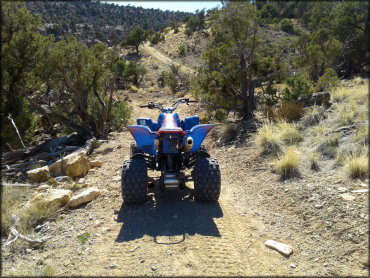 Bangs Canyon Trail