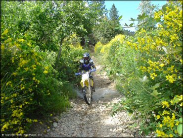 OHV getting wet at Chappie-Shasta OHV Area Trail