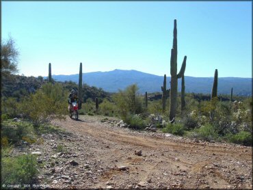Honda CRF Motorcycle at Mescal Mountain OHV Area Trail