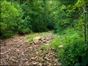 Tackett Creek Trails