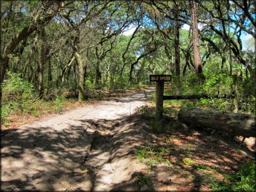 Wandering Wiregrass OHV Trail