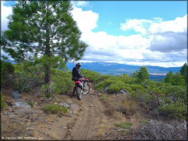 Honda CRF Dirtbike at Prosser Hill OHV Area Trail