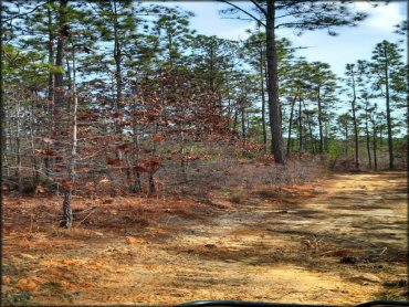 Some terrain at MX 56 Track and Trails OHV Area