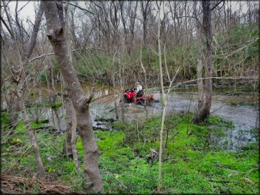 OHV at Red Creek NOLA Offroad Park Trail