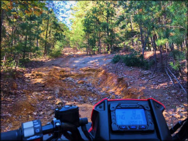 Fairfield Bay Trails