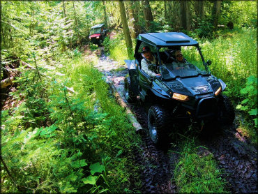 Owl Mountain Trail