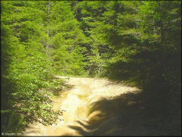 Example of terrain at Prairie Peak Trail